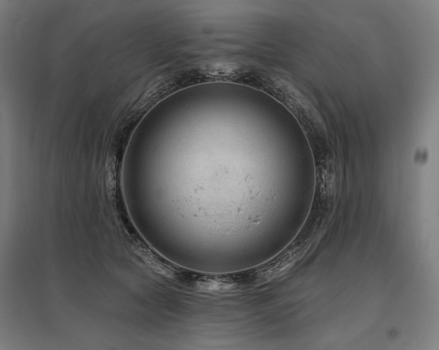 X0000096170561200801181252