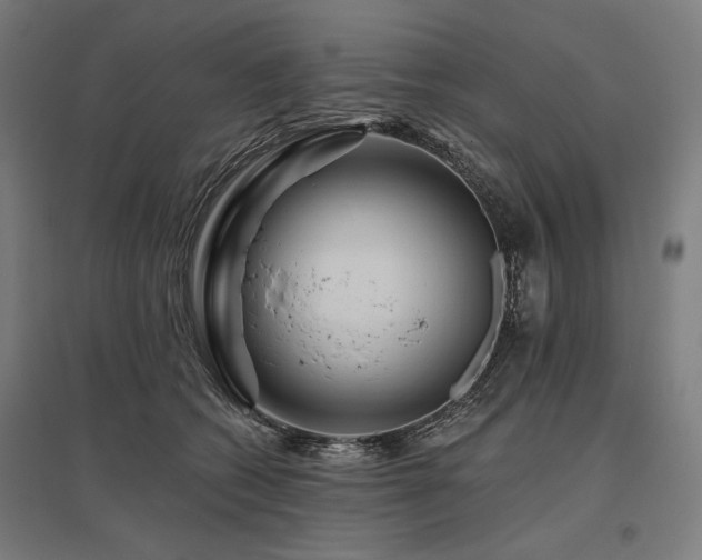 X0000096170562200801181252