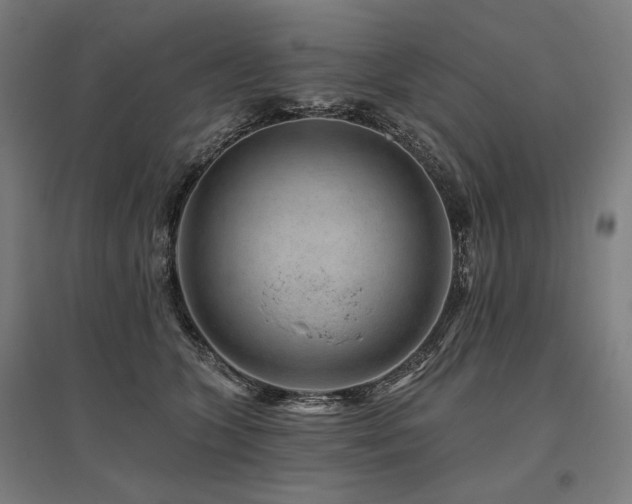 X0000096170563200801181252
