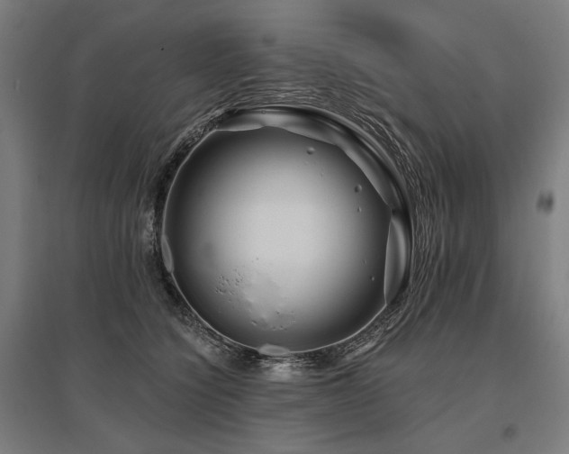 X0000096170564200801181252