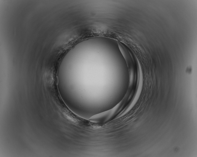 X0000096170566200801181252