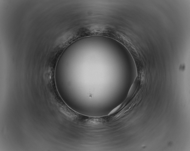 X0000096170567200801181252