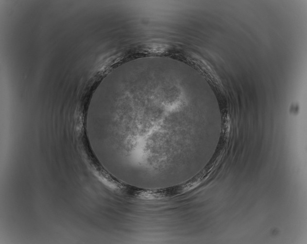 X0000096170568200801181252