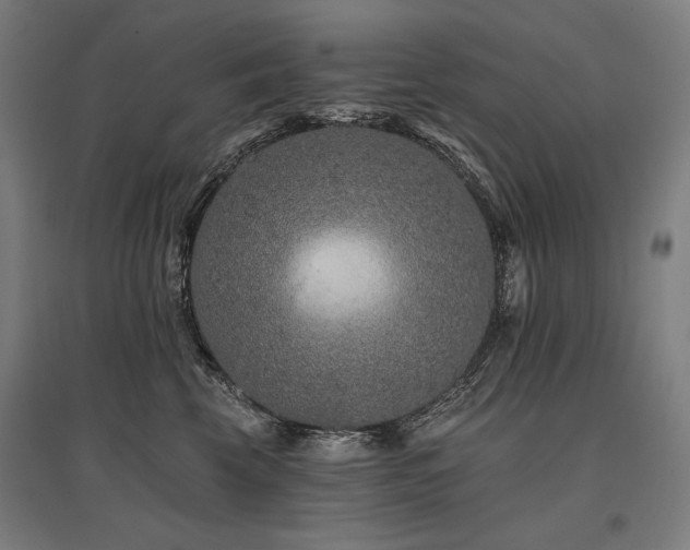 X0000096170569200801181252