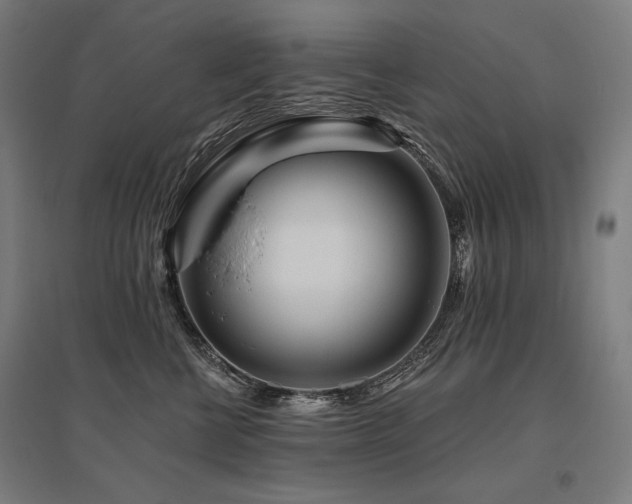 X0000096170570200801181252