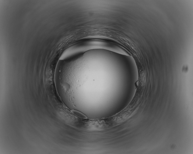 X0000096170571200801181252