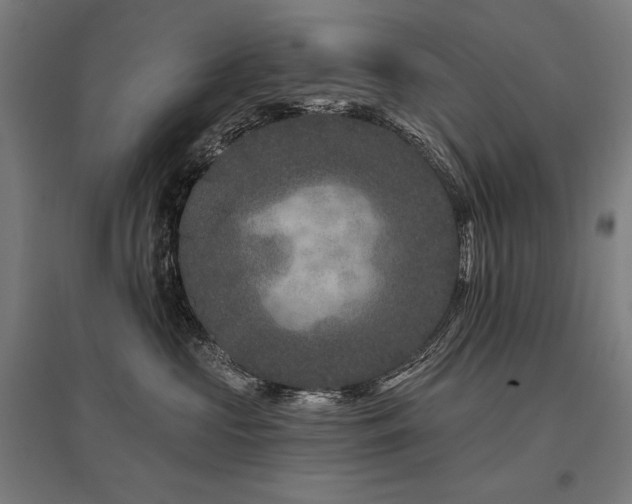 X0000096170573200801181252