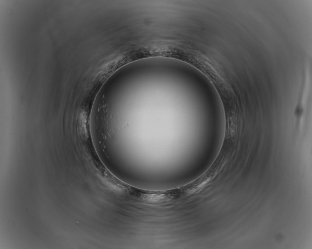 X0000096170575200801181252