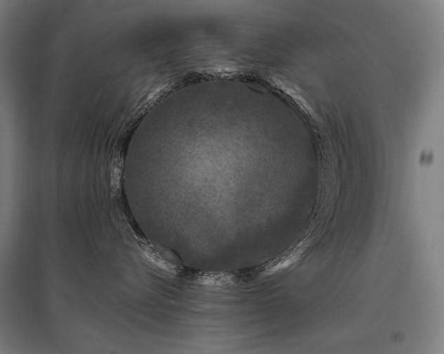 X0000096170576200801181252