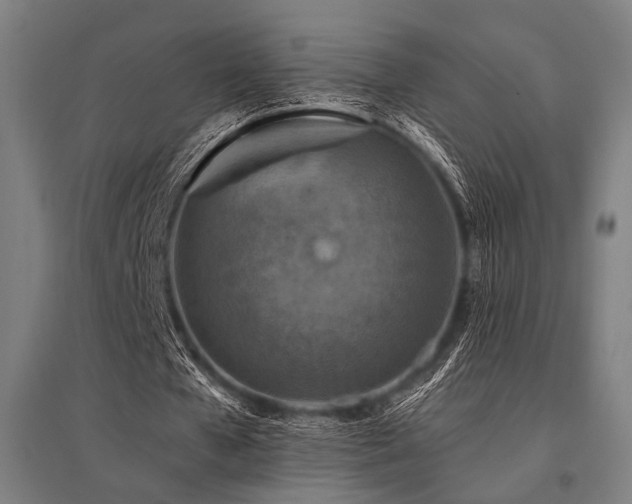 X0000096170577200801181252