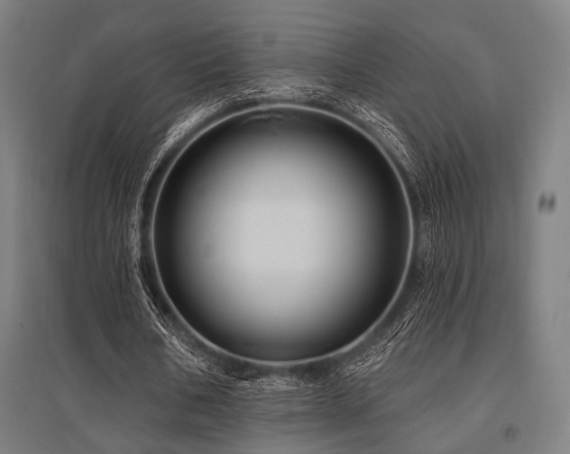 X0000096170578200801181252
