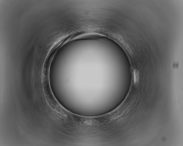 X0000096170579200801181252
