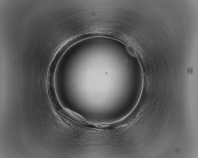 X0000096170580200801181252