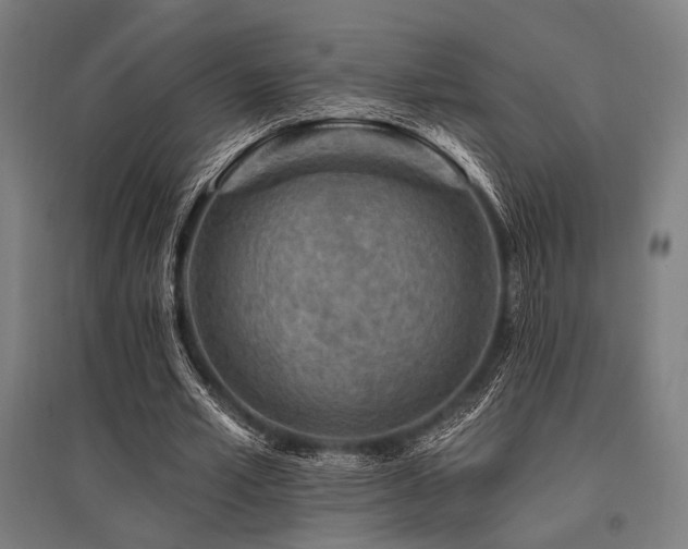 X0000096170581200801181251