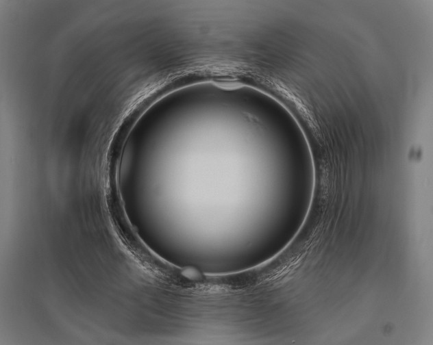 X0000096170582200801181251