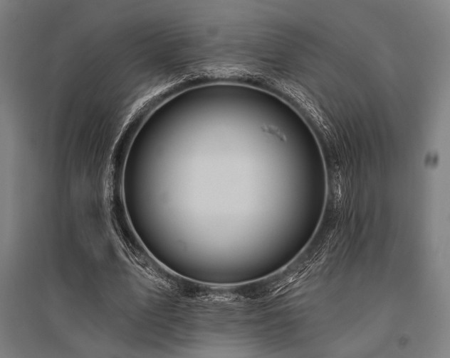 X0000096170583200801181251