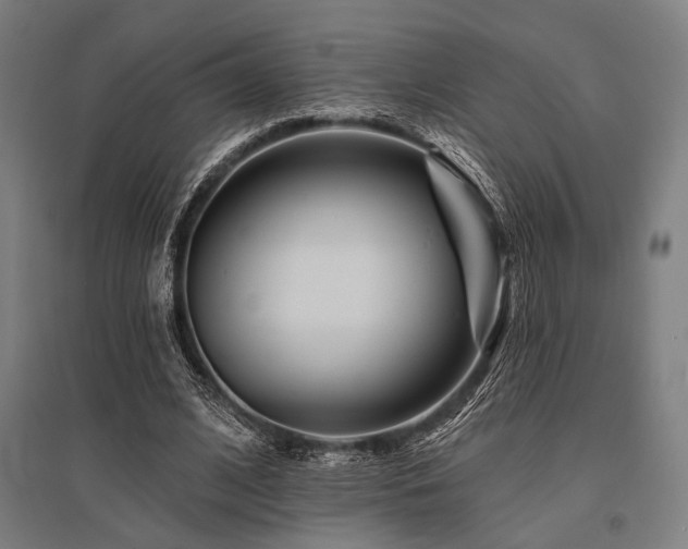X0000096170584200801181251
