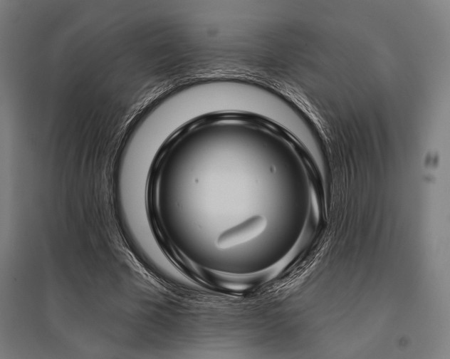 X0000096170585200801181251