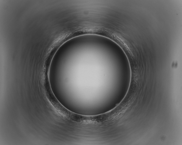 X0000096170586200801181251