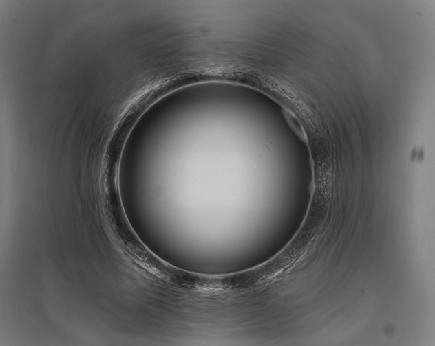 X0000096170587200801181251