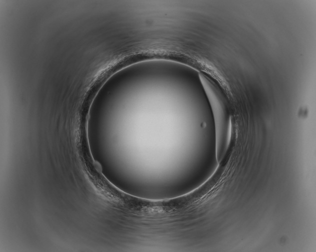 X0000096170588200801181251