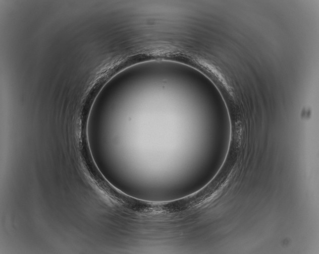 X0000096170589200801181251