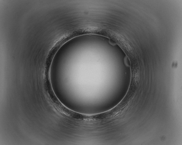 X0000096170591200801181251