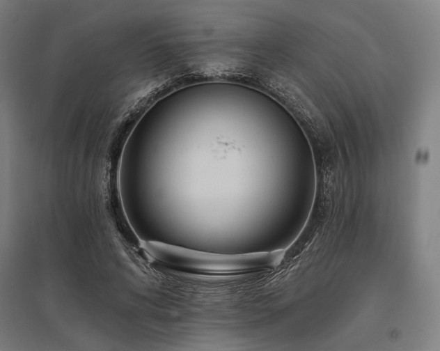 X0000096170592200801181251