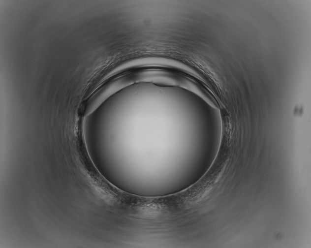 X0000096170593200801181251