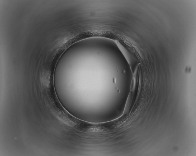 X0000096170596200801181251