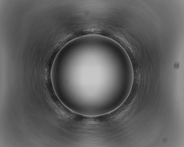 X0000096170597200801181251