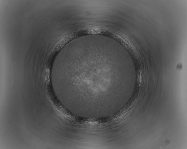 X0000096170598200801181251