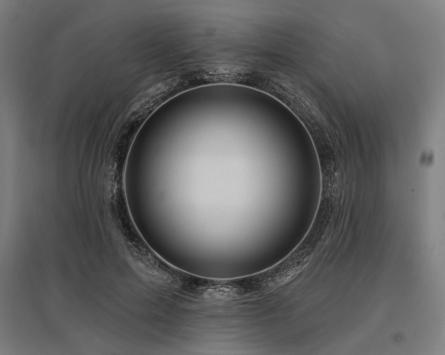 X0000096170599200801181251