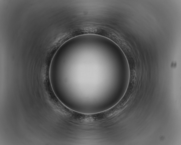 X0000096170600200801181251