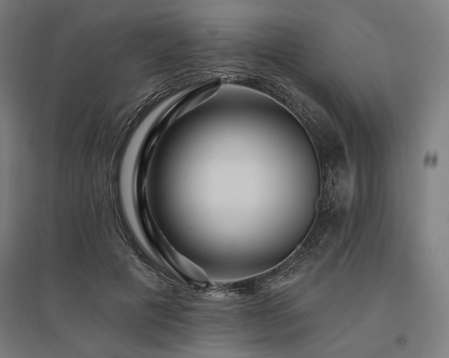 X0000096170601200801181251