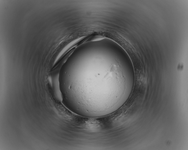 X0000096170603200801181251