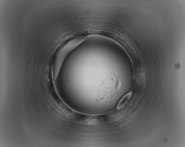 X0000096170604200801181251