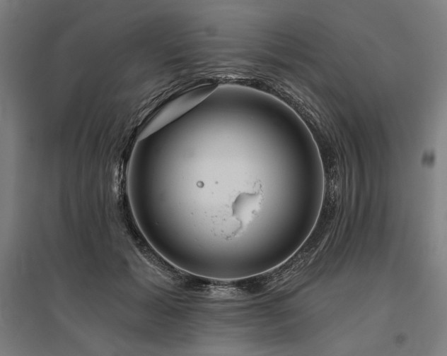 X0000096170605200801181251