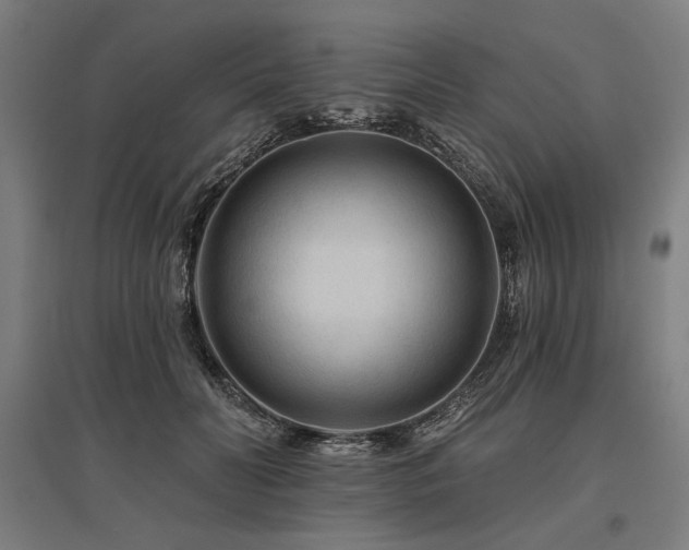 X0000096170606200801181251