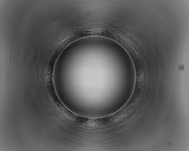 X0000096170608200801181251