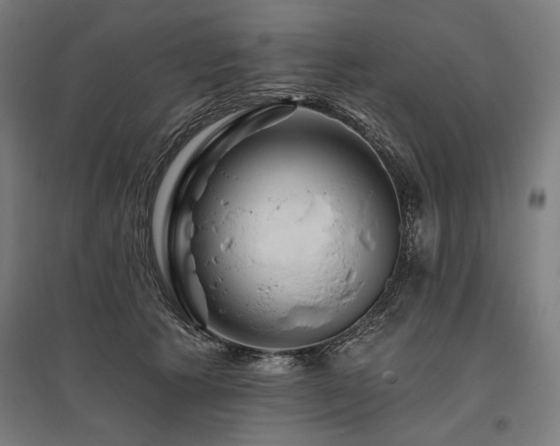 X0000096170609200801181251