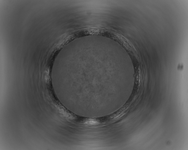 X0000096170610200801181251