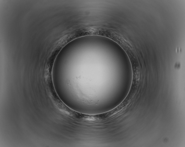 X0000096170611200801181251