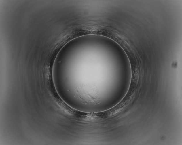 X0000096170612200801181251