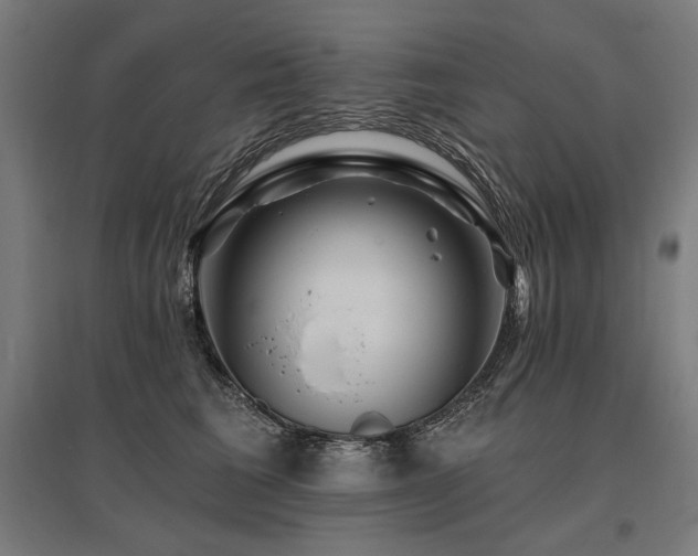 X0000096170613200801181251