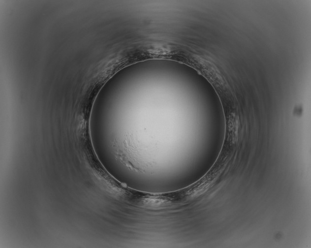 X0000096170614200801181251