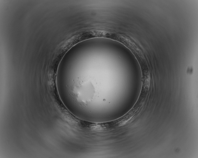 X0000096170616200801181251