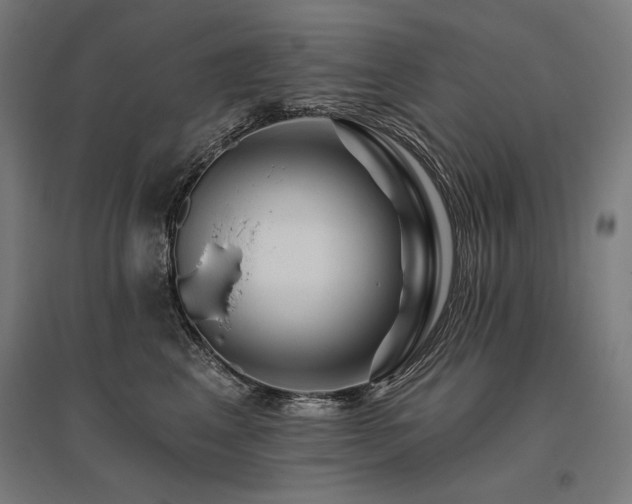 X0000096170617200801181251