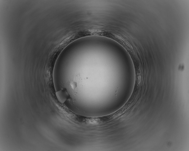 X0000096170618200801181251