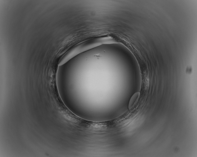 X0000096170619200801181251